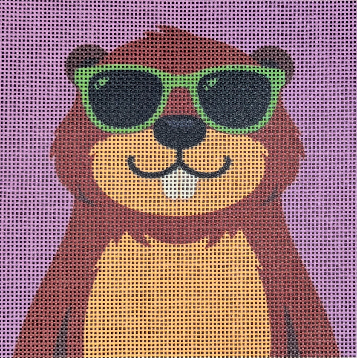Beaver in Sunglasses