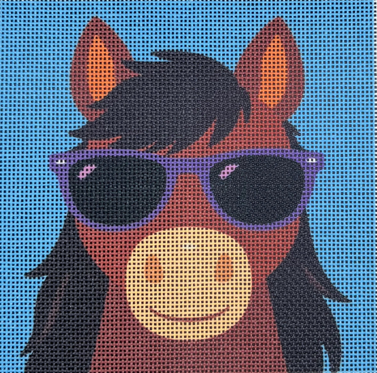 Horse in Sunglasses